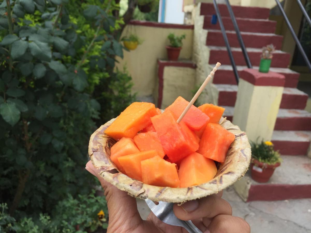 Katyuri Kings Village Homestay Dwarahat Eksteriør billede